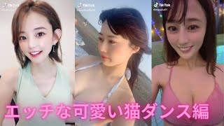 【おっぱい】 tiktok ちょっとエッチな可愛い猫ダンス編
