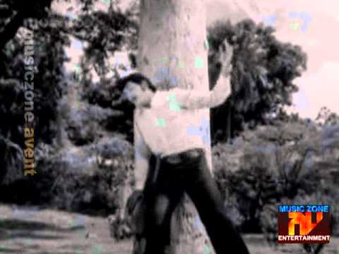 Aandavan Potta Pulli Thennangkeetru