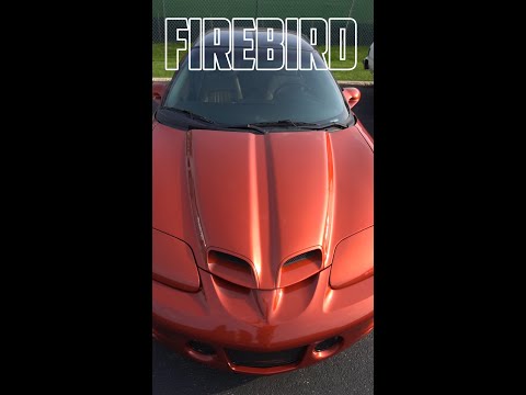 2002 Pontiac Firebird Trans Am WS6 Suspension install for Track or Street! | Blackdog Speed Shop