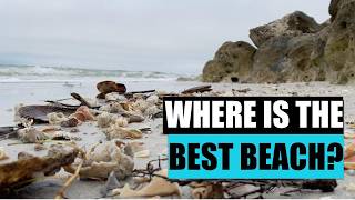 Is there a best beach to find shells Pass-A-Grille Beach virtual shelling.