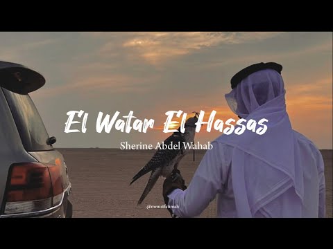 Lirik lagu El Watar El Hassas - Sherine Latin dan Terjemah || versi suara cowok