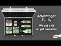 The Advantage® Family: We’ll help make pet parasites disappear.