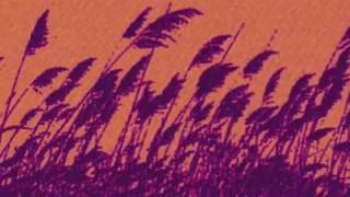 The Radio Dept.-Pet Grief