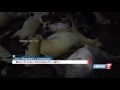 Tiruvannamalai Residents Happy Over Summer Rain News7 Tamil