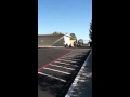 jackass shopping carts 1