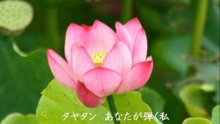 tayatan 　Saori Yuki