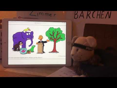 Bärchen TV 12.6.2020