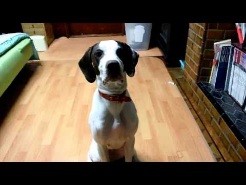 {$row[$i]['name'], ENT_QUOTES,'utf-8'); ?>