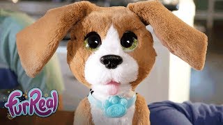 FurReal Friends - 'Chatty Charlie, the Barkin’ Beagle' Official TV Commercial