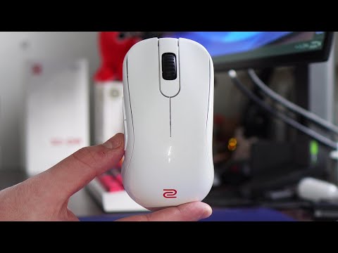 GLOSSY-Mäuse im Jahr 2025! IST ZOWIE ZURÜCK? (quietschen)