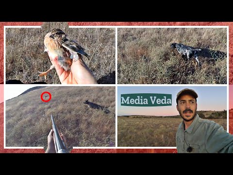 💥 MEDIA VEDA 2023 💥 Por fin volvemos a emocionarnos🐾🤩