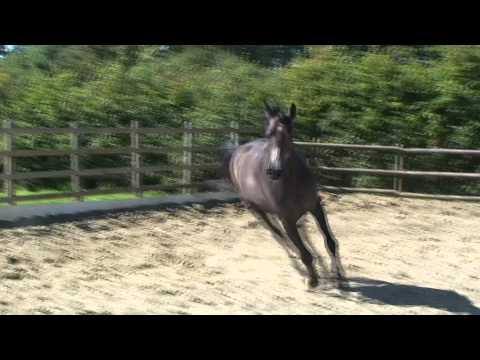 Forever My Girl Final