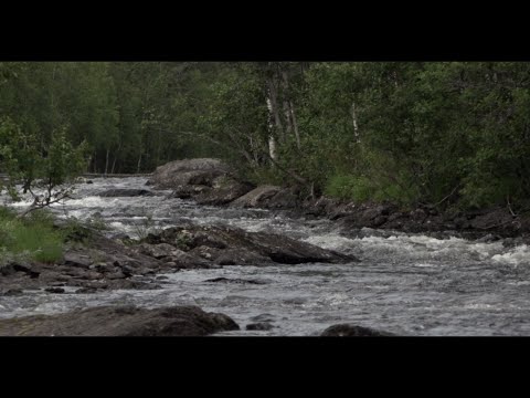 Fiske i Gardsjöbäcken