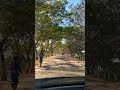 Beautiful Road Relaxing Video Nature Shorts