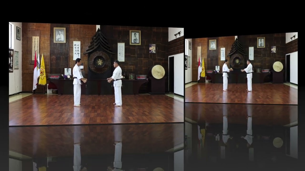 Sanbon Kumite 2