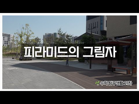 피라미드의 그림자 - 수학 탐구생활