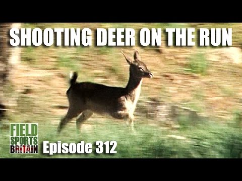 Fieldsports Britain – Shooting Deer on the Run Fieldsports Britain – Shooting Deer on the Run