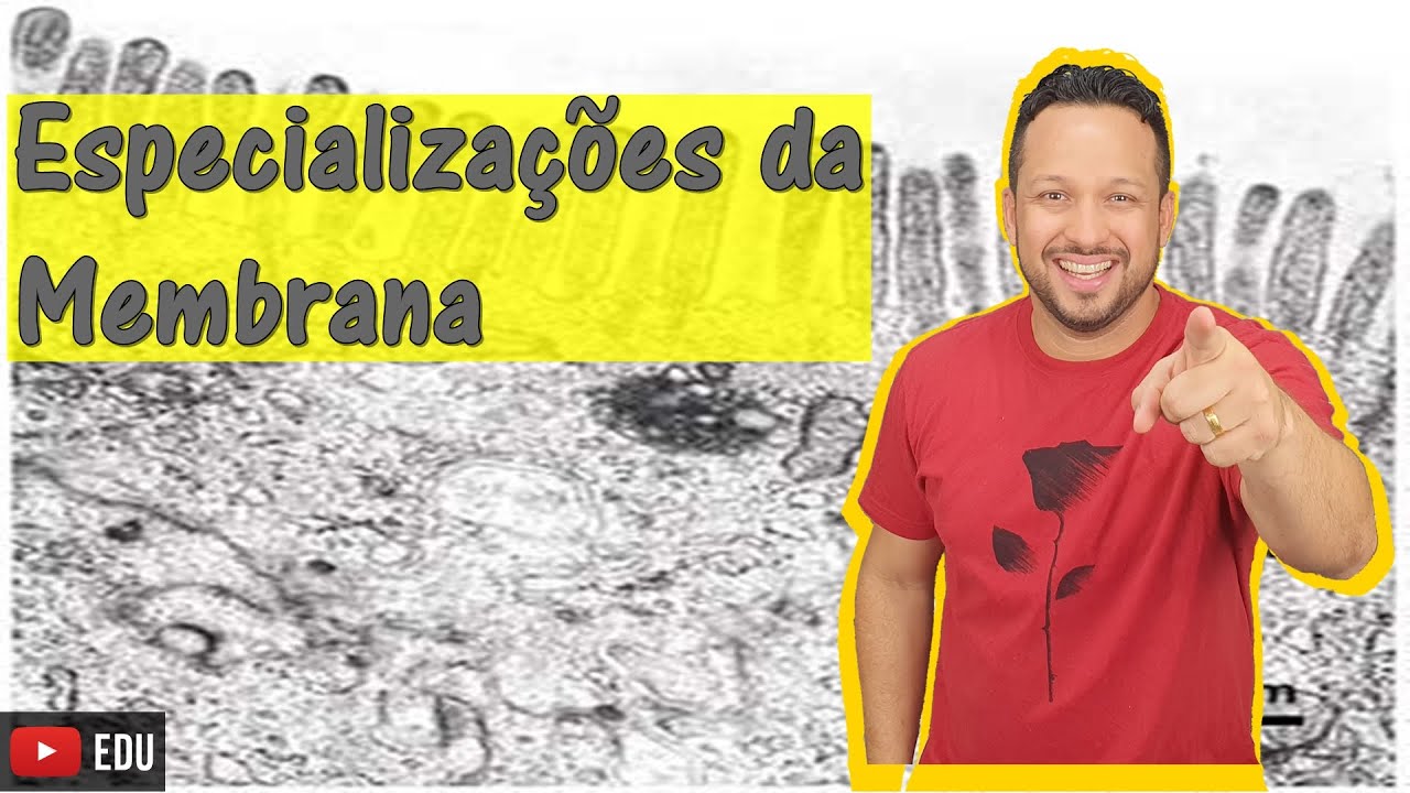 Especializações da Membrana - Características e Funções - Membrana Plasmática - Citologia