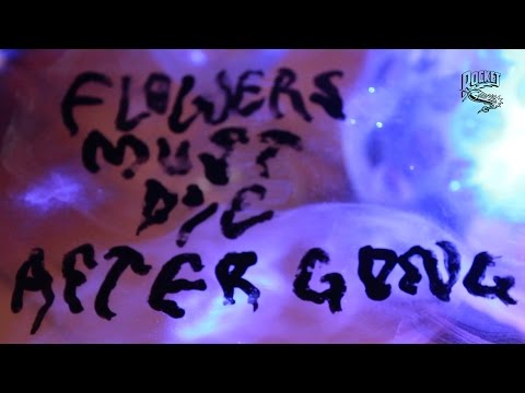 Flowers Must Die - After Gong