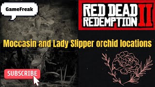 Moccasin and Lady Slipper locations RDR2 #videogames #gaming #tutorial