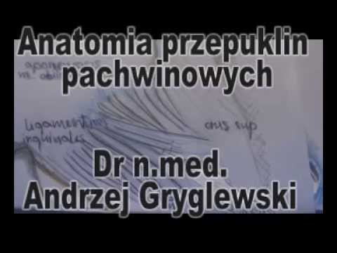 Kupić T-shirt z kapturem dla Kulturystyce Jak podkręcić mięśnie ulga
