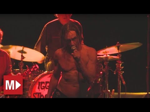 Iggy and the Stooges | Search And Destroy | Live in Sydney