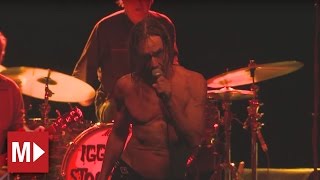 Iggy and the Stooges | Search And Destroy | Live in Sydney