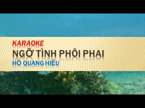 [Karaoke] Ngỡ tình phôi phai | Hồ Quang Hiếu