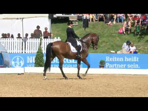 Isabell Werth | Don Johnson FRH | Grand Prix Kür | Pferd International München 2017