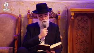 קינות ומגילת איכה בנוסח יהדות מרוקו | תשעה באב 2025 - שידור חי (מוצ"ש 20:30) | הרב משה פינטו (ארגון ענפים) - התמונה מוצגת ישירות מתוך אתר האינטרנט יוטיוב. זכויות היוצרים בתמונה שייכות ליוצרה. קישור קרדיט למקור התוכן נמצא בתוך דף הסרטון קינות ומגילת איכה בנוסח יהדות מרוקו | תשעה באב 2025 - שידור חי (מוצ"ש 20:30) | הרב משה פינטו (ארגון ענפים) - התמונה מוצגת ישירות מתוך אתר האינטרנט יוטיוב. זכויות היוצרים בתמונה שייכות ליוצרה. קישור קרדיט למקור התוכן נמצא בתוך דף הסרטון