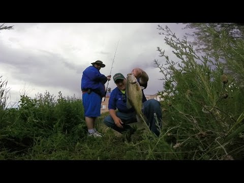 GoPro: Jason Wallick - Best Catch 06.02.15 - Fish
