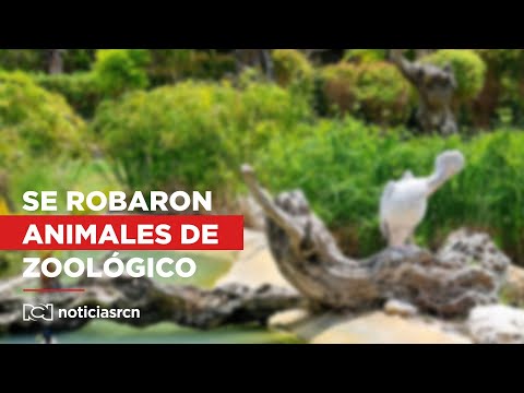 Seis animales silvestres fueron robados del zoológico de Guática en Tibasosa, Boyacá