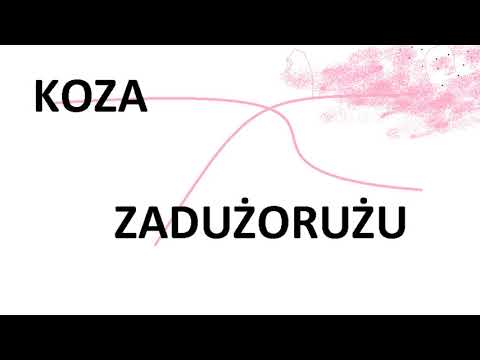 KOZA///ZADUŻORUŻU