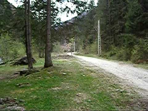 Primavara Brasoveana - La Dejani 2