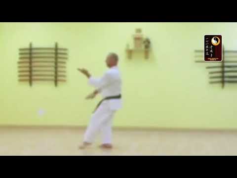 Taikyoku 4 – Shihan Charles Cusumano