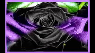 TU, TRAZ OUTRO AMIGO TAMBÉM   Letra e música do Grande Zeca Afonso