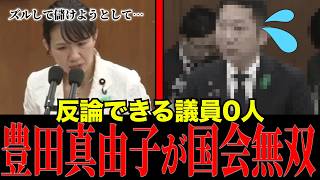 ※参政党の例の議員の国会無双に関して、徹底して解説します