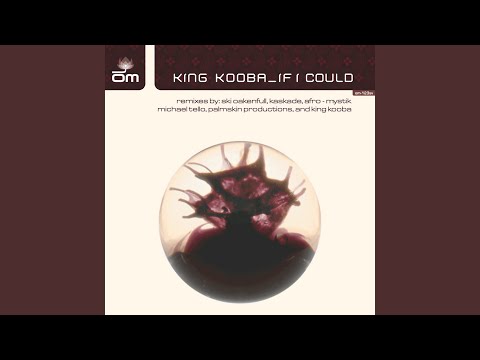 If I Could (King Kooba's Brazilia Kabasa Mix)