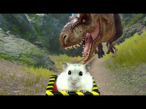 Hamster in Forest with Dinosaurs on Roller Coaster + Bonus Maze
