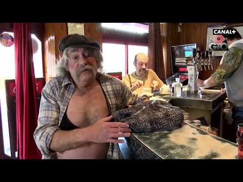 Être transgenre à la fin   Groland