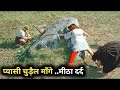 Sukkubus Film Explained in Hindi/Urdu Summarized हिन्दी / Pandit03x Cinema