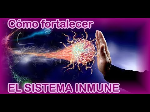 Cómo fortalecer el sistema inmunológico de forma natural