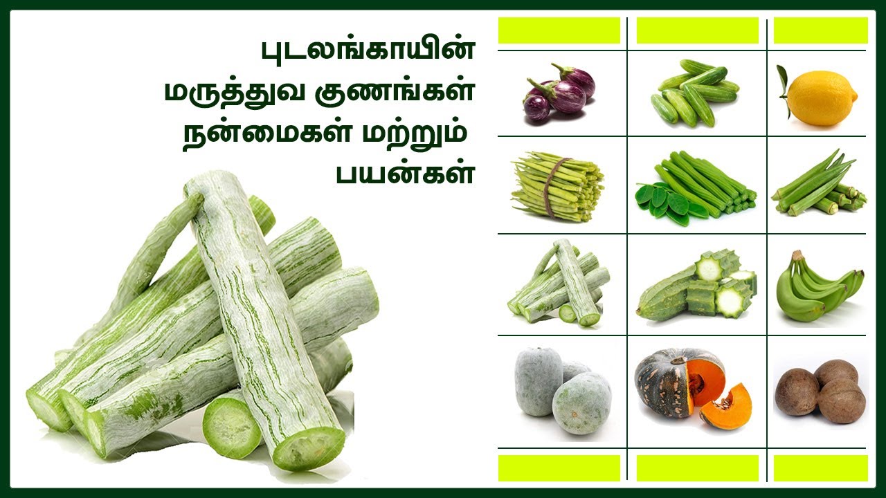 புடலங்காய் | கூட்டு | பொரியல் | குழம்பு | சாம்பார் | சில்லி | சட்னி | வறுவல் |  9994443517