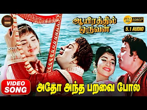 Adho Andha Paravai HD Video Song | MGR | Jayalalitha | TMS | MSV | Kannadasan | Aayirathil Oruvan