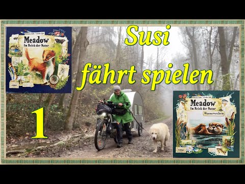 Einblick ins Spiel. Gemütliche Spieleabende und Fahrradwohnwagen Tour. Meadow mit Wasserwelten.