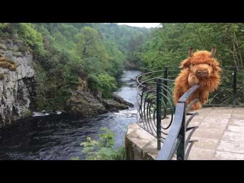 Ru the Coo Goes To See the Rellies