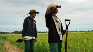 Inside a DepEd Farm School: Ramon Torres Malingin Farm School