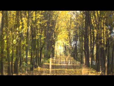 Carol Kidd. Autumn in New York - My funny valentine