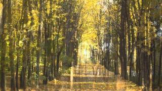 Carol Kidd. Autumn in New York - My funny valentine