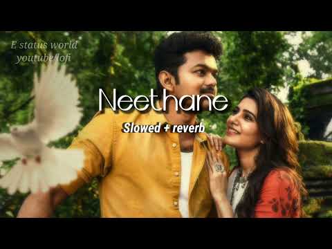 Neethane | Mersal | lofimix | slowed + reverb | e status world